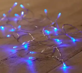 BIG W Battery Operated 2.3m 24 LED 0.36 W Christmas Fairy Lights Blue offer
