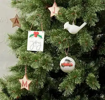 BIG W Wooden Alphabet Loose Ornaments, Joy Plaque, Classic Car or Classic Bird offer