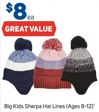 Foodland Big Kids Sherpa Hat Lines offer