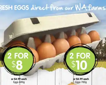 Spudshed Eggs 600g offer