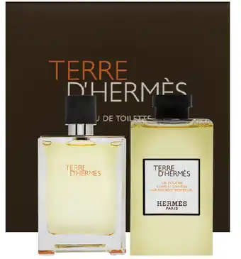 Hermes terre d’hermès 100ml edt 2 piece set