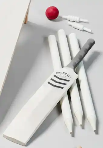 Vintage cricket set