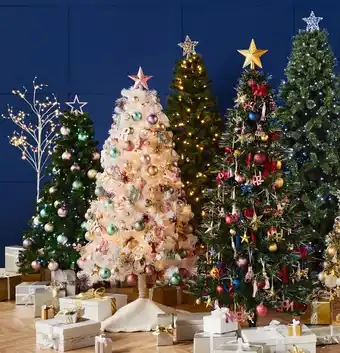 BIG W Christmas trees offer