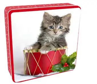 Rachel hale kitten tin 200g