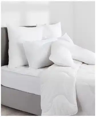 BIG W House & home european pillows offer