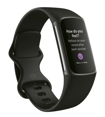 BIG W Fitbit charge 5 black offer