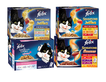 BIG W Felix 12-pack cat food pouch varieties 85g offer