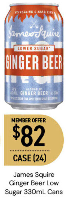 James Squire Ginger Beer Low Sugar 330mL Cans offer at Dan Murphy's