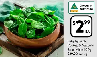 Foodworks Baby Spinach, Rocket, & Mesculin Salad Mixes 100g offer