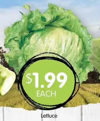 Spudshed Lettuce offer