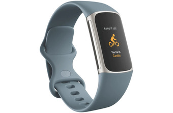 The Good Guys Fitbit charge 5 - steel blue offer