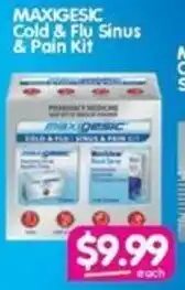 MAXIGESIC Cold & Flu Sinus & Pain Kit