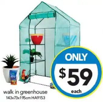 Cheap as Chips walk in greenhouse 143 x 73 x 195cm offer