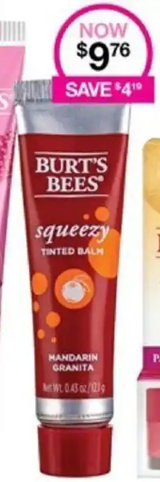 BURT'S BEES