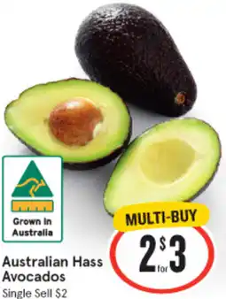 Australian Hass Avocados