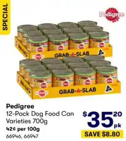 BIG W Pedigree 12-Pack Dog Food Can Varieties 700g offer