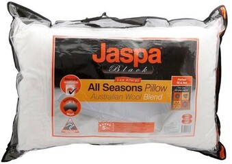 Spotlight 30% off Jaspa All Seasons Wool Pillow offer