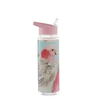 Mozi plastic flip lid bottle