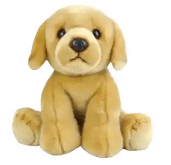 Australia Post Korimco pets offer