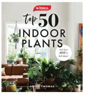 Yates top 50 indoor plants (and how not to kill them!)