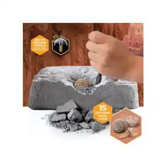 Fossil excavation kit