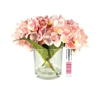 Australia Post Hydrangea diffuser & spray bottle - pink offer