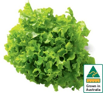IGA Australian Green Oak Lettuce offer