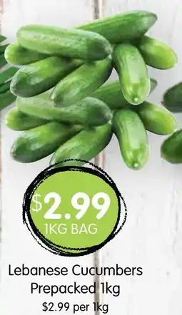 Spudshed Lebanese Cucumbers Prepacked 1kg offer