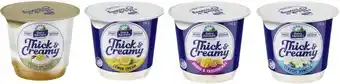 Coles Dairy Farmers Thick & Creamy Yoghurt 140g-150g offer