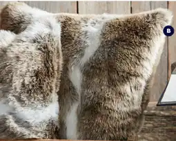Spotlight BOUCLAIR Faux Fur Cushlon and Throws Cushlon offer