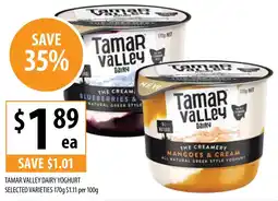 Supabarn TAMAR VALLEY DAIRY YOGHURT per 100g offer