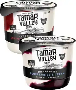 Coles Tamar Valley Dairy The Creamery Greek Style Yoghurt 170g offer