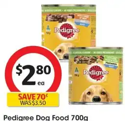 Coles Pedigree Dog Food 700g offer