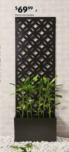 ALDI Garden Screen with Plante offer