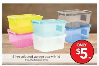 Cheap as Chips 5 Litre Coloured Storage Box With Lid offer
