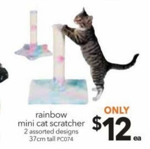 Cheap as Chips Rainbow Mini Cat Scratcher 2 Assorted Designs 37cm Tall offer