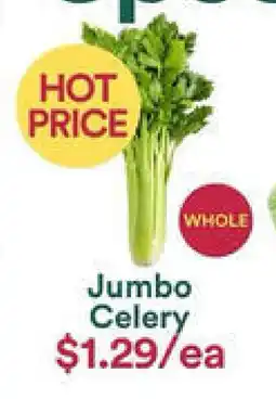 Jumbo Celery