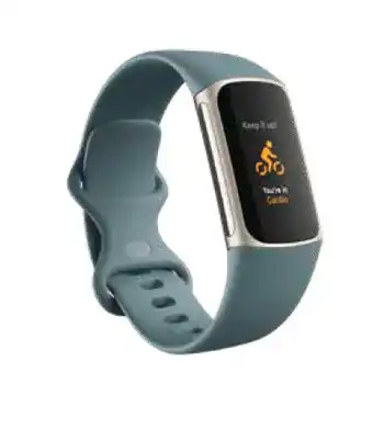 Fitbit charge 5 - steel blue