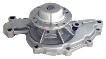 SuperCheap Auto Gates water pumps offer