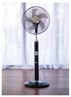 SuperCheap Auto 40cm pedestal fan premium dc motor offer