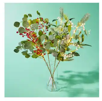 Kmart Assorted berry stakes offer