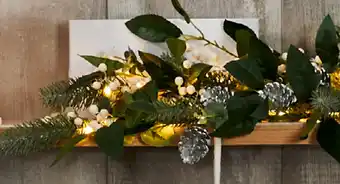 Kmart Light up berry stakes offer
