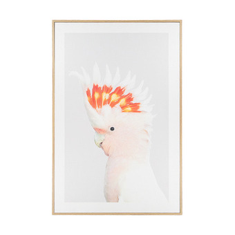 Kmart Cockatoo framed canvas offer