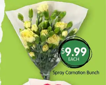 Spudshed Spray Carnation Bunch offer