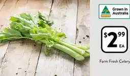 Foodworks Farm Fresh Celery offer