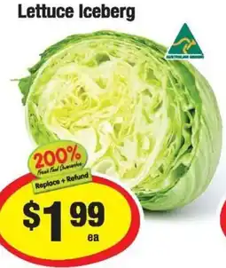 Lettuce Iceberg