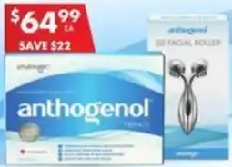 anthogenol BUY 1 GET 1 FREE FACIAL ROLLER