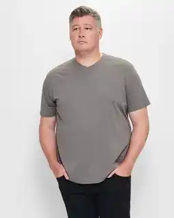 Target Plus V-Neck T-Shirt offer