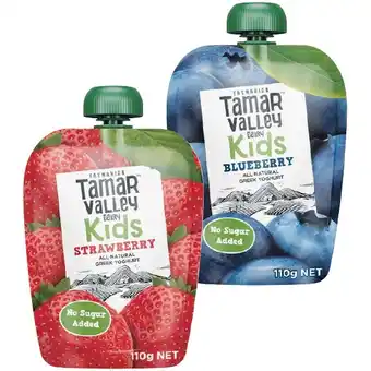 Woolworths Tamar Valley Yoghurt Kids Pouch 110g – From the Fridge offer