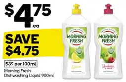 Woolworths Morning Fresh Dishwashing Liquid 900ml offer